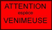 LEGISLATION Attention%20esp%C3%A8ce%20venimeuse