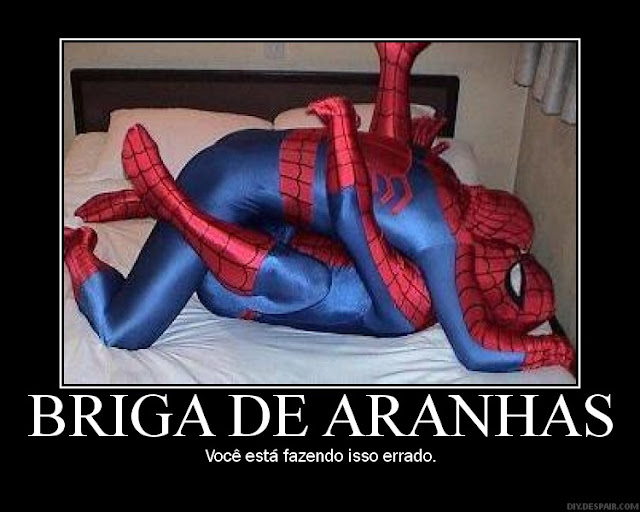 Imagens Em Geral de Zoeira! - Página 8 Briga%20de%20aranhass