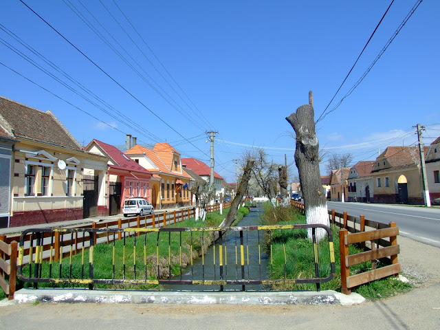 Turism cu bicicleta Tara%20Birsei%20(106)