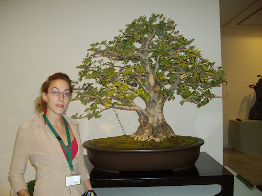 XX CONGRESO NACIONAL DE BONSAI, BENALMADENA 2007 IMGP0770