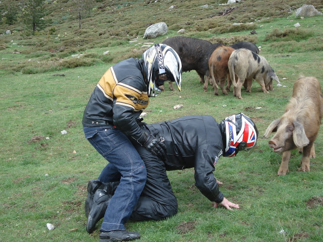 Décision de justice importante Corsica%20tour%202010%20160