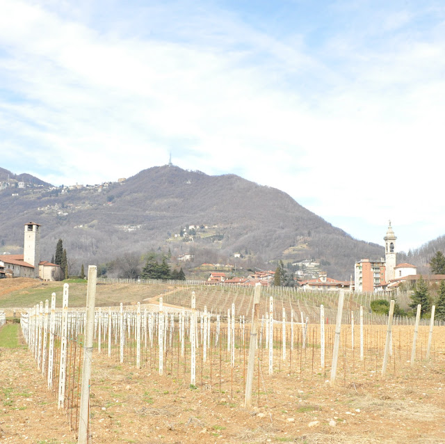 Almenno San Salvatore, 8 marzo 2009 DSC_1764