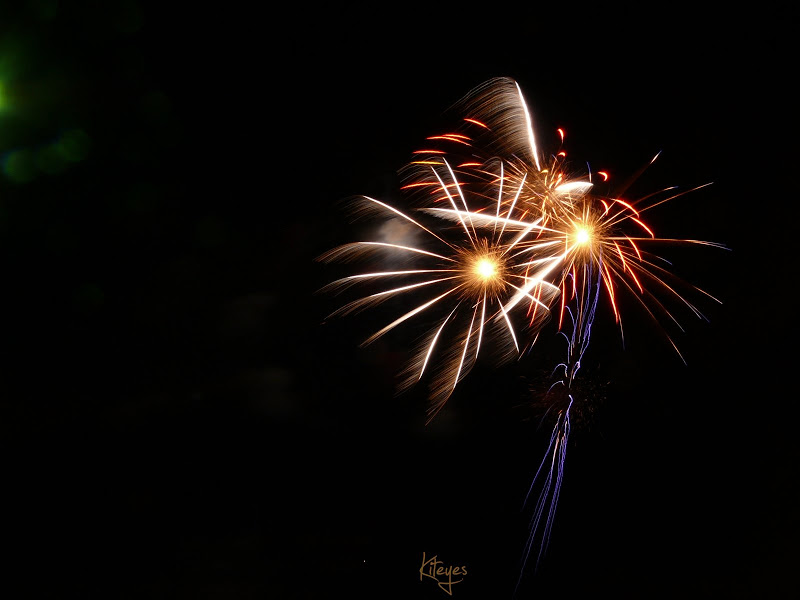 Feux d' artifice P1060455_redimensionner