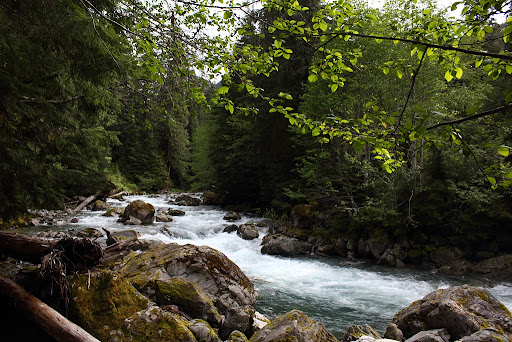 Cascades DS trip pics - June 8th, 2010 DPP_0030