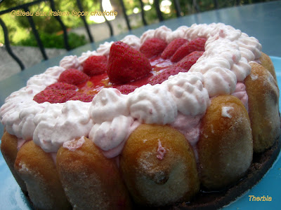 Gâteau aux fraises façon charlotte IMG_2729