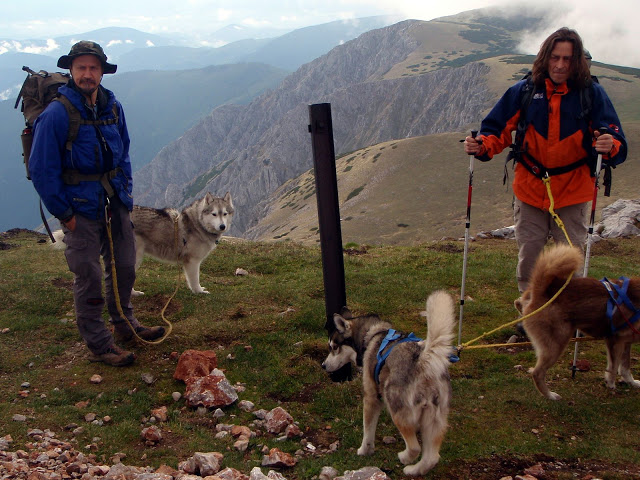 Schneebergland-Dogtrekking P5303850