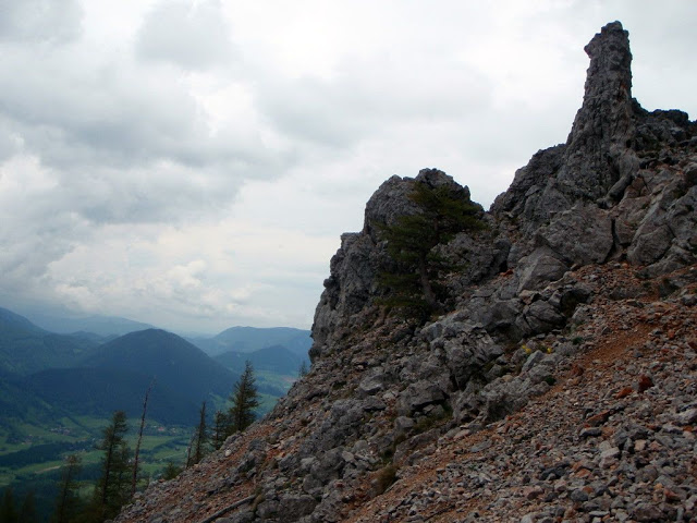 Schneebergland-Dogtrekking P5303870