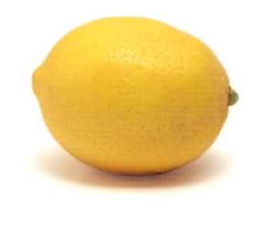 اسماء وصور اشجار الفاكهه Citrus%20limon