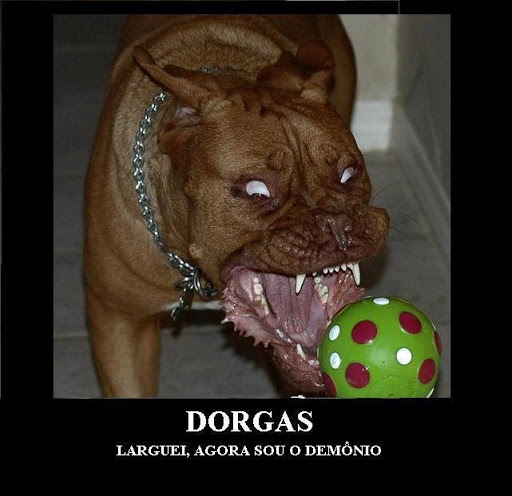 Dorgas. Dorgasdemo