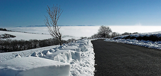 Fondu de neige CaG3_09731-03_Corel%20%2B%20net_640%20%2B%20%20net