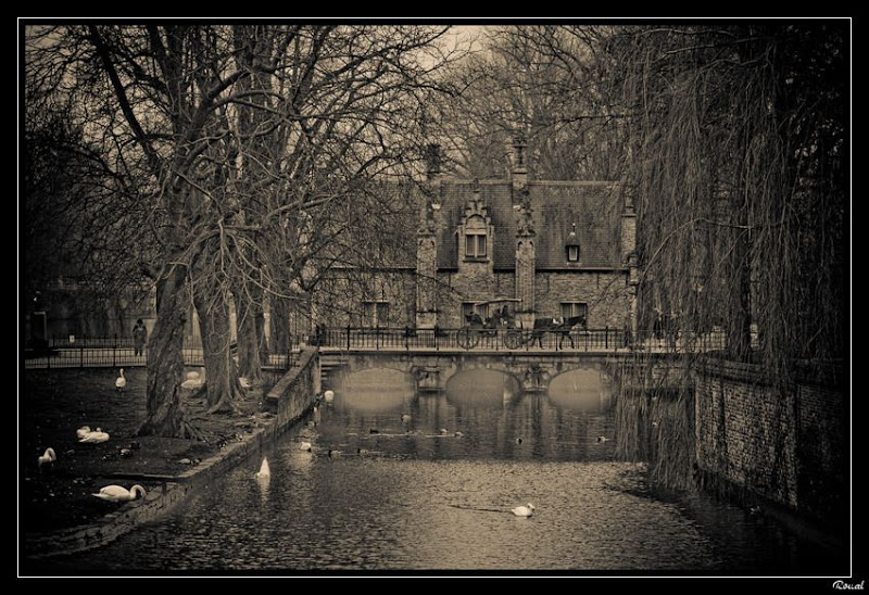 Bruges, le retour _DSC5588-2