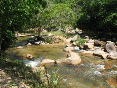 Lata Jarum & Pulau Chekas, Ulu Dong, Raub Pulau%20chekas4