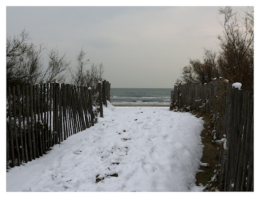 tombe la neige ...(MAJ) P1140449