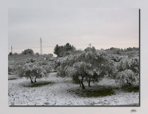 tombe la neige ...(MAJ) P1140402