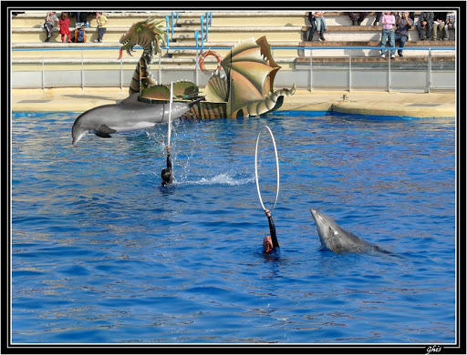 Marineland P1100280