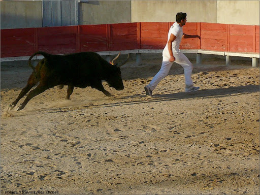 tradition camarguaise (rajouts du 9/11/09) P1110300