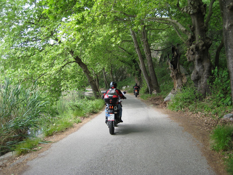 Φωτογραφικό Άλμπουμ Λάρισας. IMG_1265