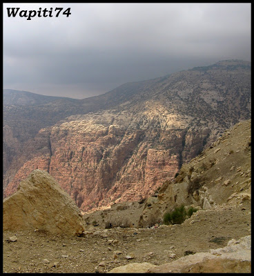 Jordanie : au pays des Nabatéens, des Grecs, des Croisés... et de Dame Nature ! 163%20Dana