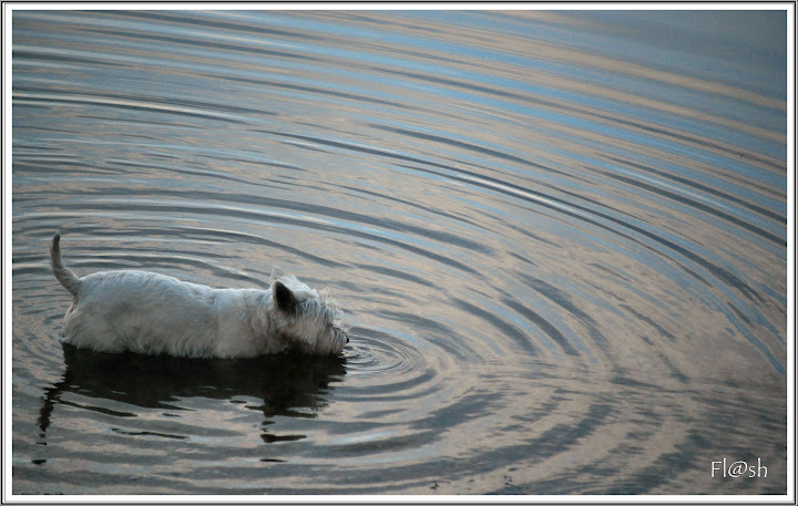 quelques photos DSC_0112