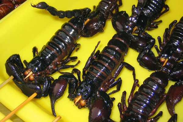 اغرب انواع الطعام في العالم Deep-fried-Scorpions-02