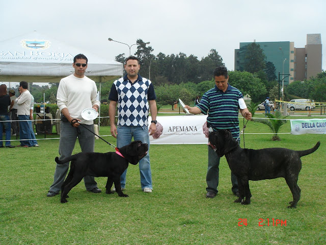 Algunas fotos del 5to match (Clase Cachorros) DSC00969