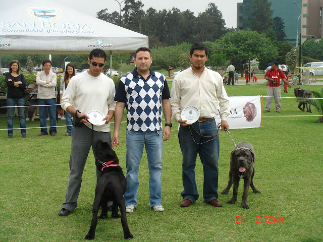 Algunas fotos del 5to match (Clase Cachorros) DSC00972