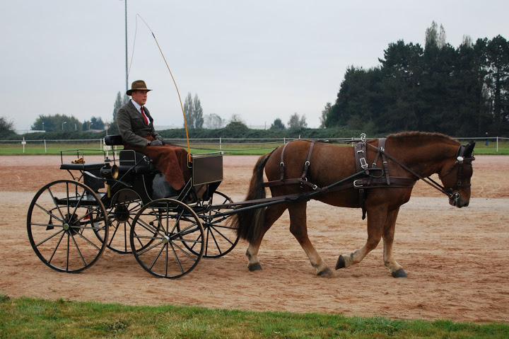 Championnat de France et journées internationales de l'attelage: Lisieux 2009 Coulisse%20%2830%29