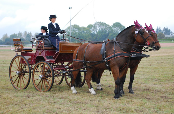 Championnat de France et journées internationales de l'attelage: Lisieux 2009 Coulisse%20%28107%29