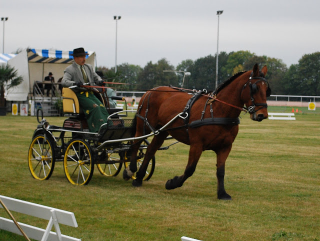 Championnat de France et journées internationales de l'attelage: Lisieux 2009 Dressage%20%2819%29