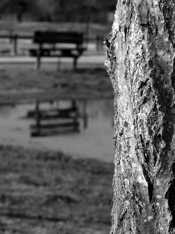 petite  serie noir et blanc BANC