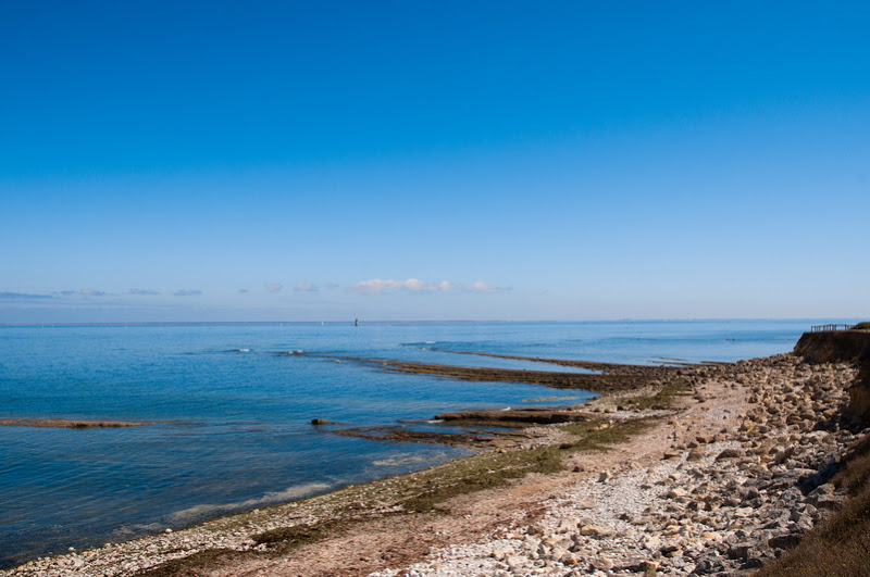 Sortie photo sur Oleron (17) Samedi 07 Aout 2010 à 10h00 - Page 3 20100807_04_paysage_ocean_D90_DSC_4658