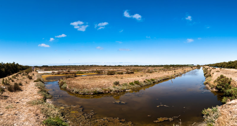 Sortie photo sur Oleron (17) Samedi 07 Aout 2010 à 10h00 - Page 5 20100807_00_pano_06_marais_sauvage