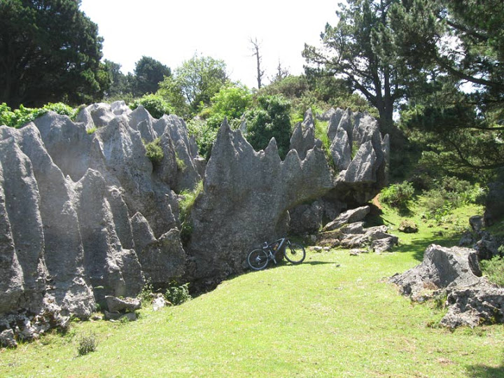 10-07-2010 RUTA MINERA. LA ARBOLEDA (Bizkaia) 44%2Crinocerontes-de-roca