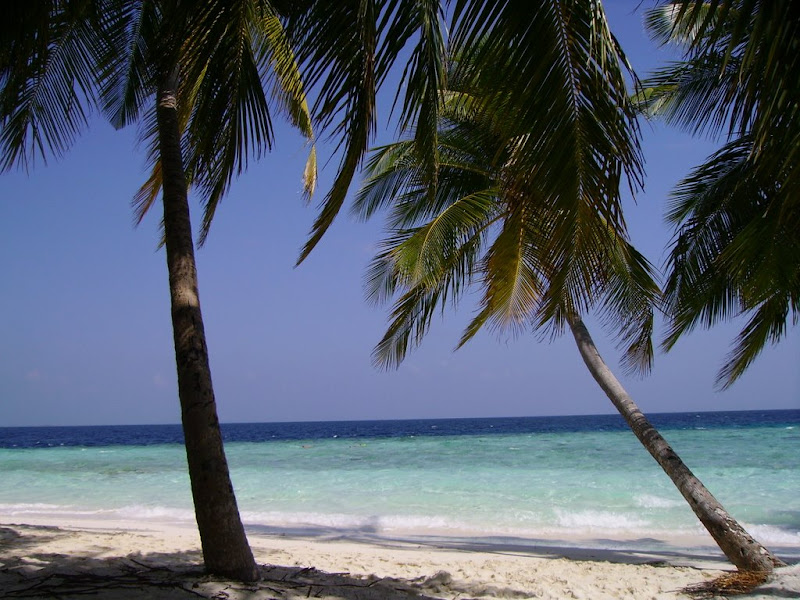 Ianuarie pe plaja - Maldive - multe poze IMGP1492