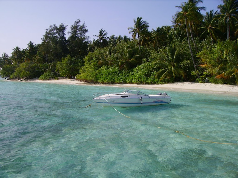 Ianuarie pe plaja - Maldive - multe poze IMGP1895