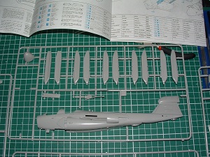 [Hasegawa] EA6B Prowler "High Visibility" 1/72 EA6B_grappe03