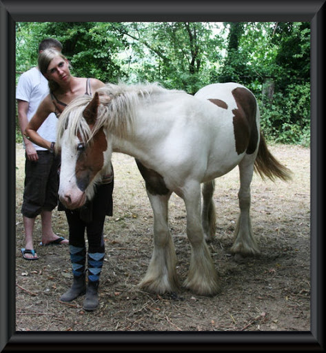 Visite aux Chevaux de Tan! 31