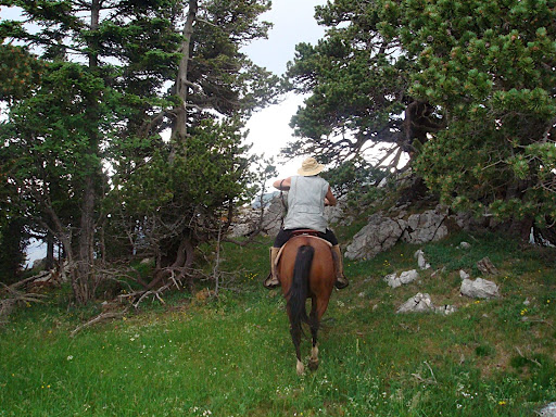 Rando Hautes Alpes...Beauchaîne.... - Page 12 DSC01034