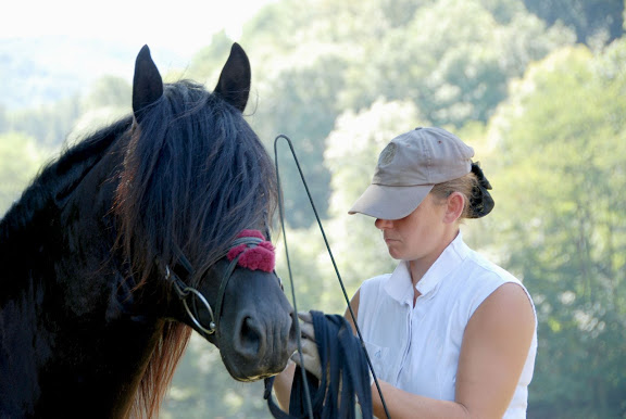 Ti'am du Grand Bosc Concours%20%C3%A9talons%20-%20LaBbastide%20de%20Serou%20%2898%29