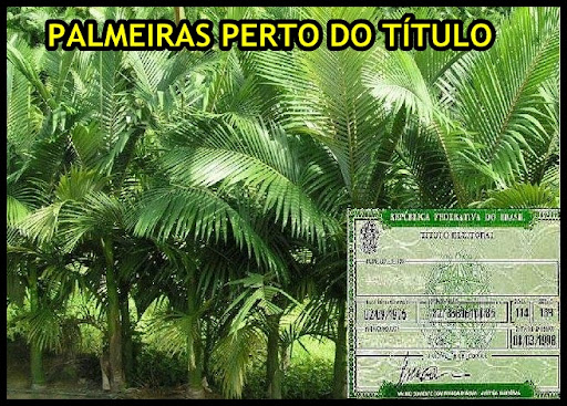 BRASILEIRO 2010 - Pgina 12 OgAAABstptj8qq4_c4HomnExrI4VjIOzFKFHgDkRlgYDgRoCXa7I5N2-SaUSmgUW4-PEjZlGXPl_62oOeoXhK-W51coAm1T1UHEFcLDPFqFjoB9OwqtoMA5UJA6Y