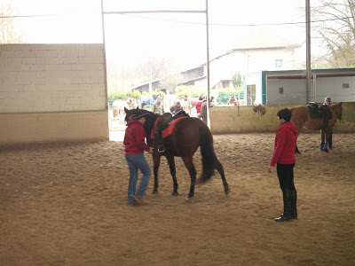 Prochaine session Western Dimanche 16 novembre au Haras des îles à Moirans - Page 8 PICT0005