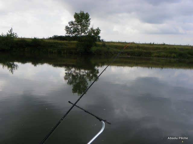 Enfin une bonne pêche en fleuve ! (épisode 2) 101_7864