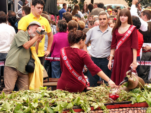 Aleksandrovac 47ZupskaBerbaAleksandrovac2692010