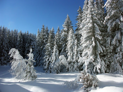 POEMAS SIDERALES ( Sol, Luna, Estrellas, Tierra, Naturaleza, Galaxias...) - Página 4 6449neve4