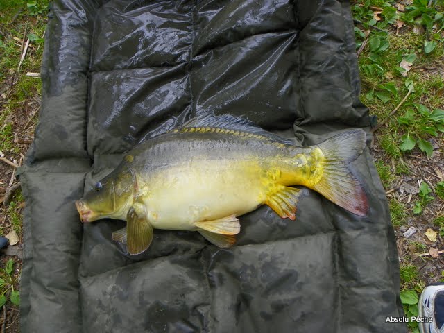 Etang de Civrieux d'Azergues 101_7830