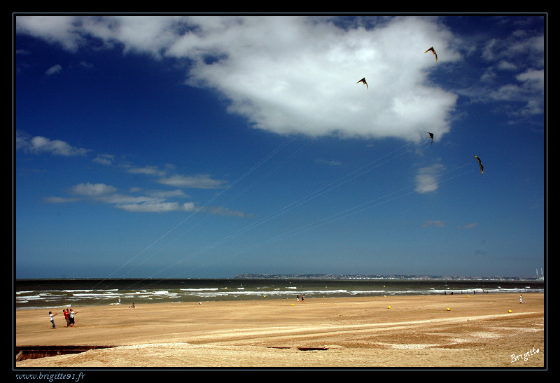 Vole au vent... DSC_8404-border