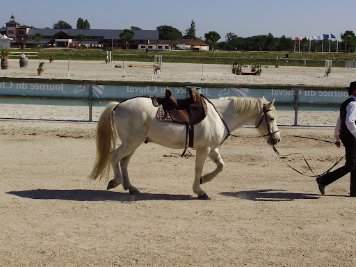 Mondial TREC 2008 - quitation de travail chevaux camargues 20-21-sept_08%20274