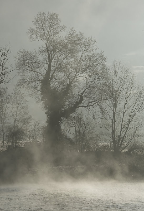 Jeudi matin à Millau... _D2X7822ret2