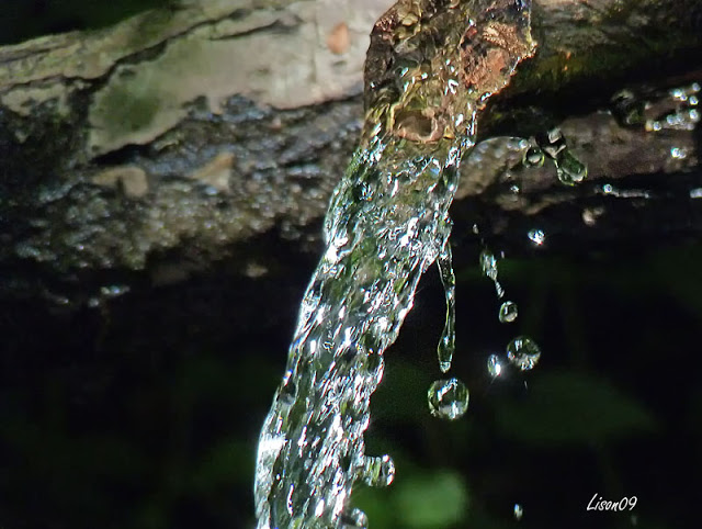 Juste un essai à la fontaine Fount%20del%20Faure1