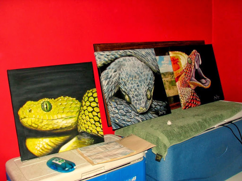 New Atheris Paintings !  IMG_0554